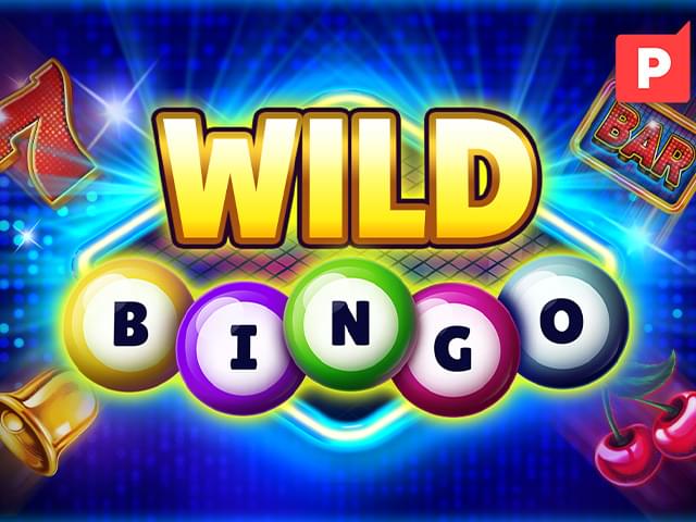 aa999 bet Bingo Selvagem